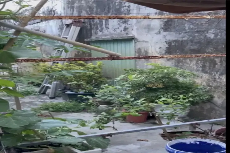 Lô Đất Kiệt Lê Duẩn . Dt:63m . Ngang 4M3 - ảnh 1