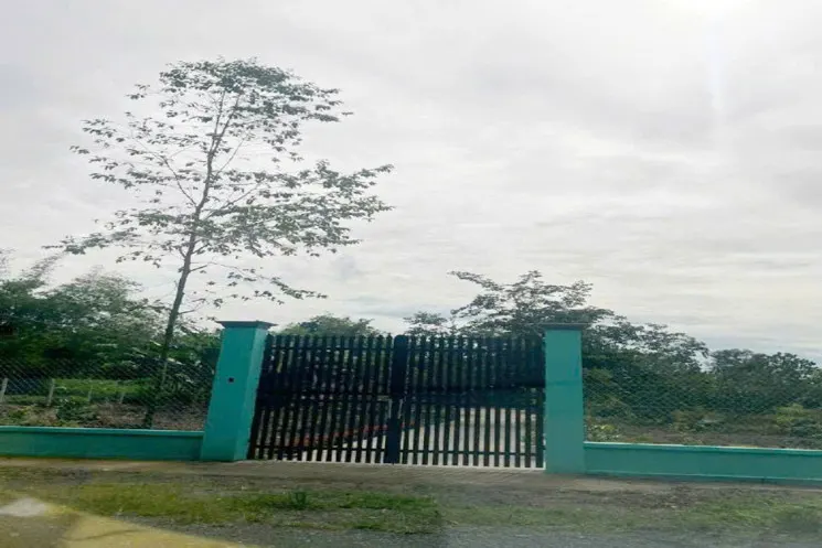 Đất Nở Hậu Đường 8M Thông 1851M2 – Cây Gỗ Cc