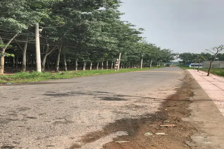 Bán Mặt Tiền Nhựa Liên Ấp, Gần Ngã Tư Gia Vĩnh, An Viễn, Đồng Nai - ảnh 1