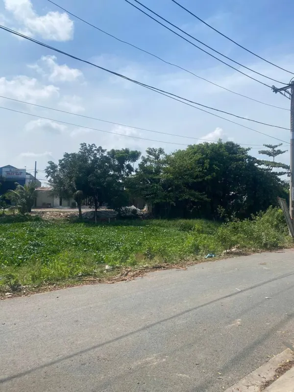 Bán Gấp Lô Đất 146.8m2, 4.2 Tỷ Tại Trần Hải Phụng, Bình Tân - Vị Trí Đắc Địa, Giá Tốt