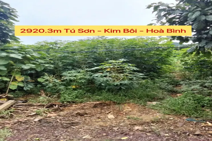 Chính Chủ Bán Lô Đất Đẹp 2920,3M Tại Từ Sơn-Kim Bôi Hòa Bình
