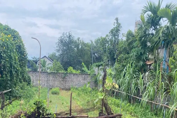 Chính Chủ Bán Lô Đất Siêu Đẹp 173M Tại Nam Phương Tiến-Chương Mỹ-Hà Nội