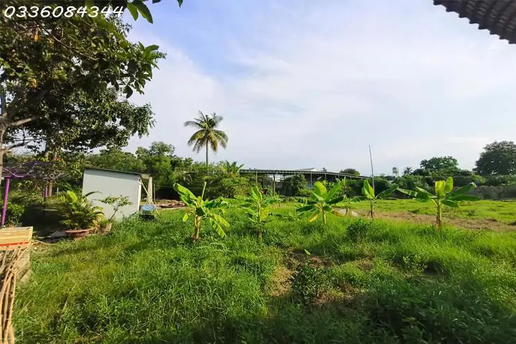  Cơ Hội Vàng – Đầu Tư Sinh Lời Cao Tại Trung Tâm Tây Ninh