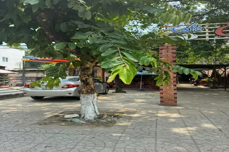 Đất Đẹp – Giá Tốt – Cần Bán Đất Tại Thị Trấn Tân Châu, Huyện Tân Châu, Tỉnh Tây Ninh