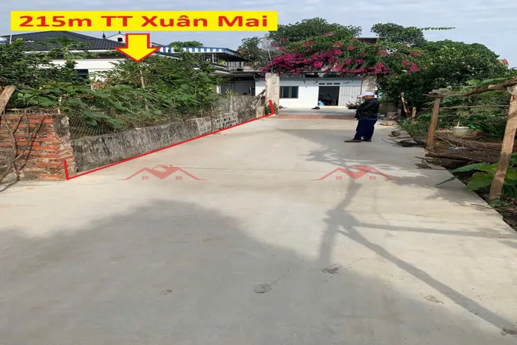Hàng Fo Chính Chủ 295M Tại Tt Xuân Mai-Chương Mỹ-Hà Nội