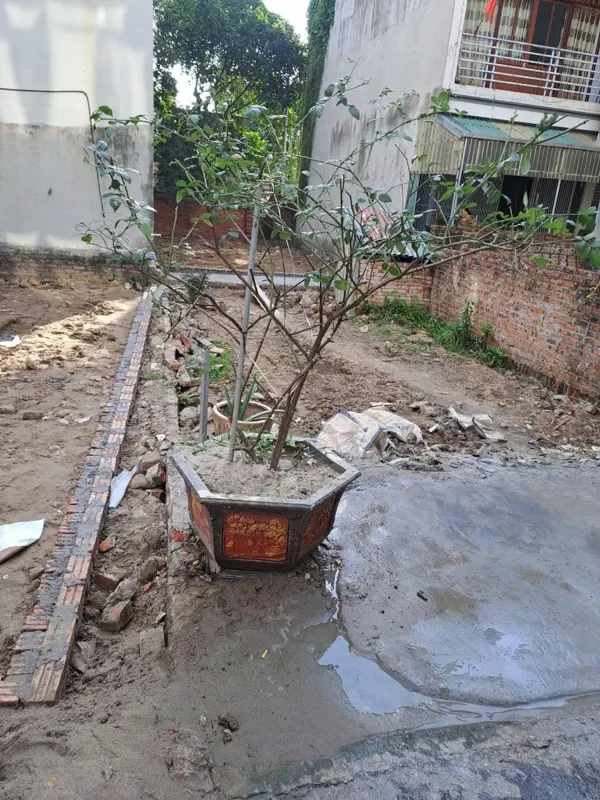 Đất Cao Lỗ, Uy Nỗ, Đông Anh - Giá Tốt, Vị Trí Đẹp