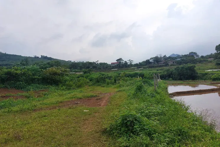 Chính Chủ Cần Bán 2,5 Ha Đất Bám Suối View Siêu Đep Tại Lương Sơn – Phú Thọ