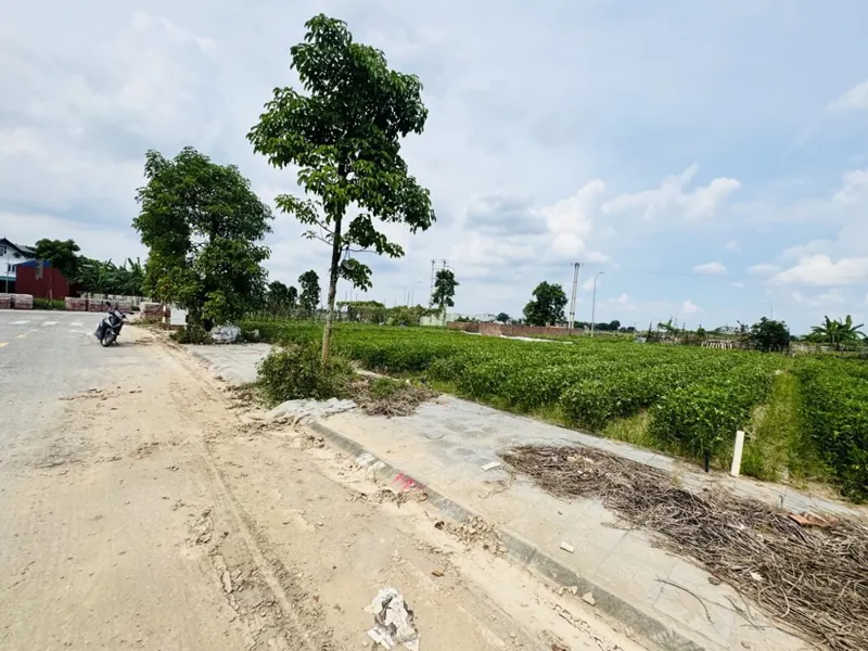 Bán Đất Xuân Canh-Đông Anh-60M- Nhỉnh10 Tỷ(tl)
