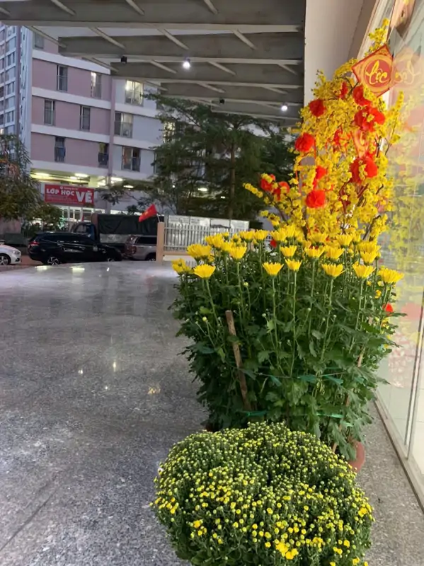 Bán Căn Hộ HQC Plaza 2PN, 60m2, Tầng 22 - Giá 1.180 Tỷ