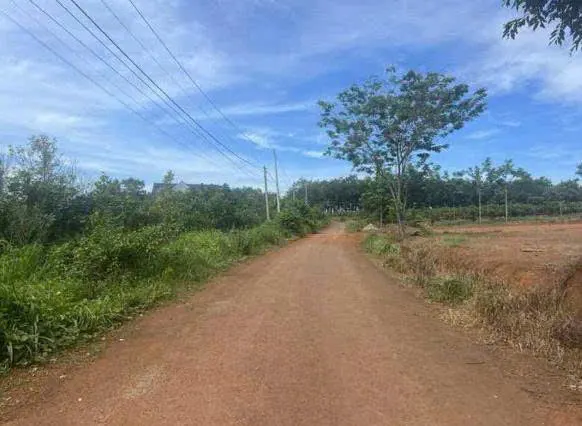 Cần Bán Đất Chính Chủ - Ấp 4, Xã Thanh Hòa, Huyện Bù Đốp, Bình Phước