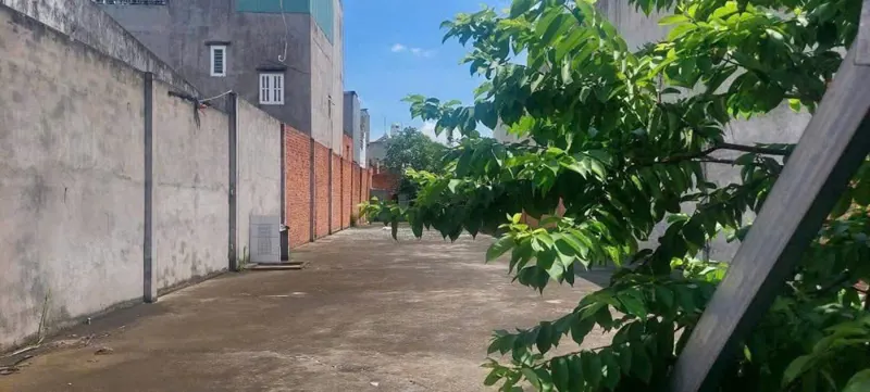Đất Lớn Mt Trung Mỹ, Tân Xuân, Hóc Môn Dt Khủng 500M² – Chỉ 17 Tỷ