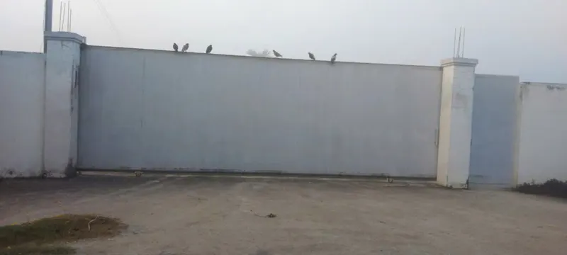 Đất Khủng 6.500M² Mt Xuân Thới Sơn 6, Hóc Môn