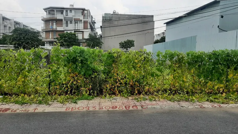 Bán Lô Đất Biệt Thự 2 Mặt Tiền Đường Số 3 Hiệp Bình Phước - Thành Phố Thủ Đức