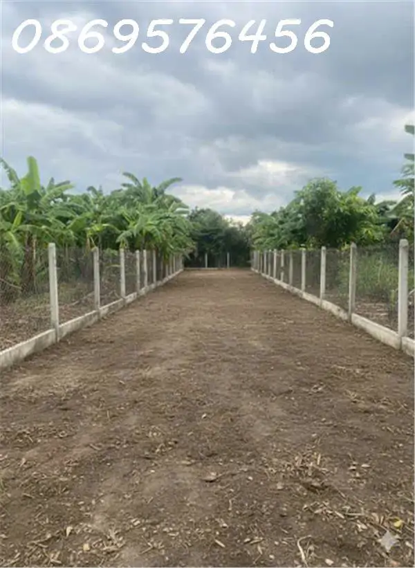 Bán Lô Đất Vườn Có Thổ Cư Tại Diên Khánh, Khánh Hoà - ảnh 1