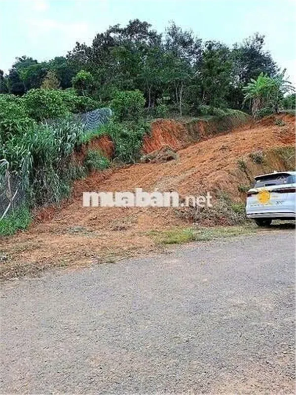 Đất Đẹp  - Giá Đầu Tư –Chính Chủ  Cần Bán  Lô Đất  Tại Thôn 10, Xã Lộc Nam, Bảo Lâm, Lâm Đồng