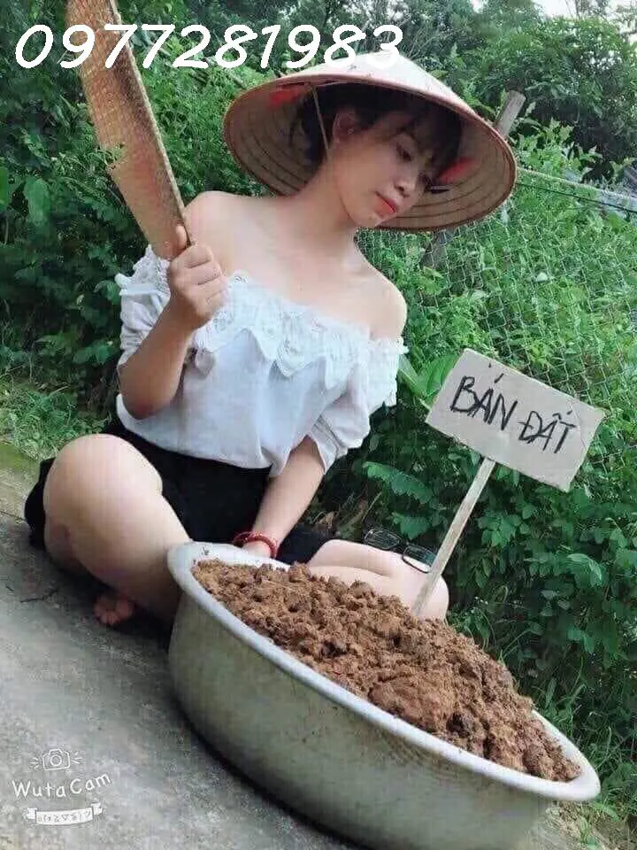 Đất Đẹp Di Trạch – 65M, Mặt Tiền 5.25M, Nở Hậu – Ô Tô Vào Nhà