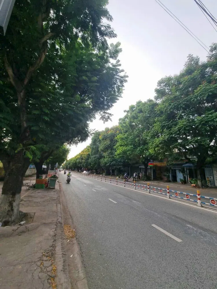 Bán Đất Xây Biệt Thự Tuyệt Đẹp Ngay Huỳnh Văn Nghệ-0909808615