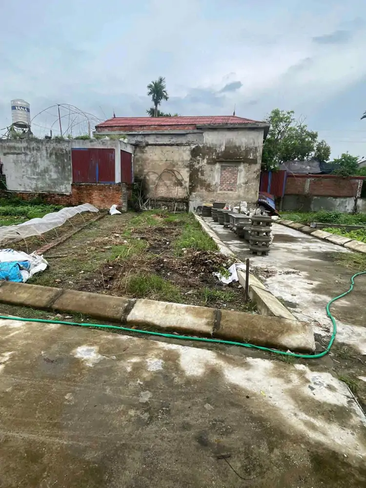 Bán Đất Sổ Đỏ – Lô Góc Đường 5M Tại Câu Thượng, Quang Hưng, An Lão, Hải Phòng