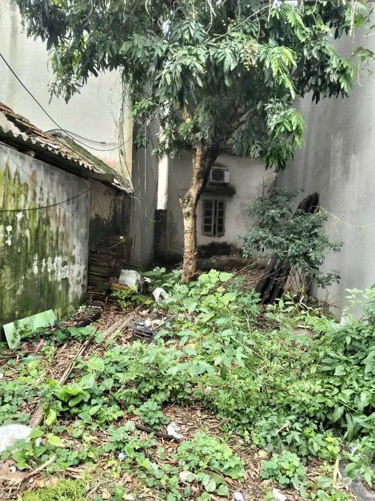 .Thửa Đất Đẹp Giá Hợp Lý- Khu Vực Đại Áng  Đang Phát Triển - ảnh 1