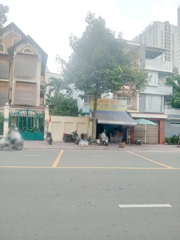 Bán Căn Biệt Thự Và 1 Lô Đất Mặt Tiền Đường Dương Quang Đông P5 Q8