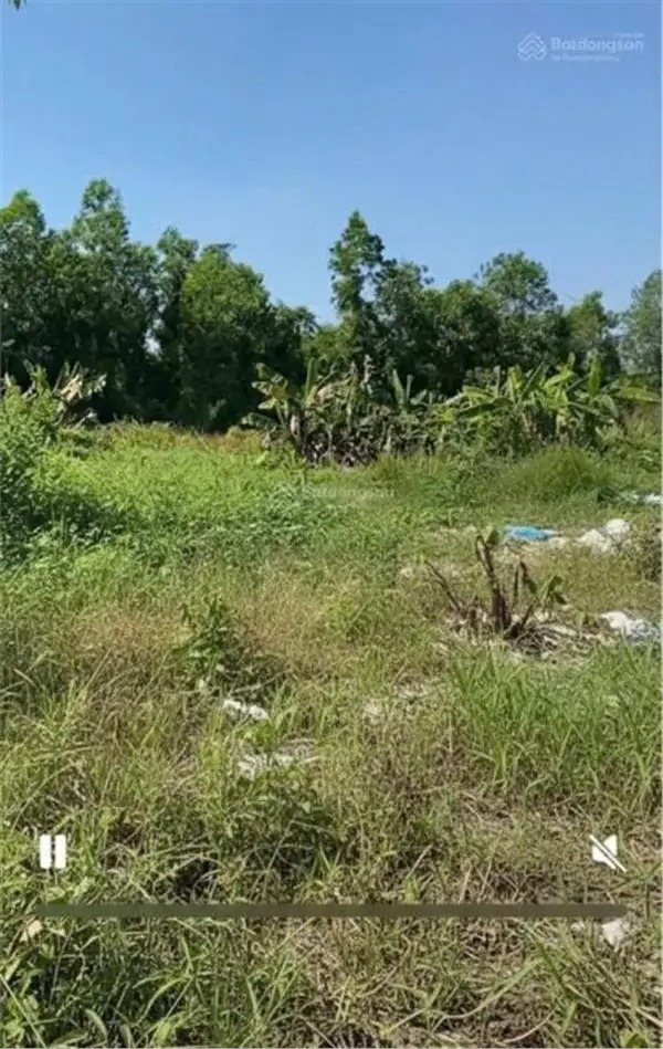 Cần Cho Thuê Lô Đất Nông Nghiệp Để Trồng Trọt, Chăn Nuôi Tại Xã Phạm Văn Hai, Bình Chánh, Hcm