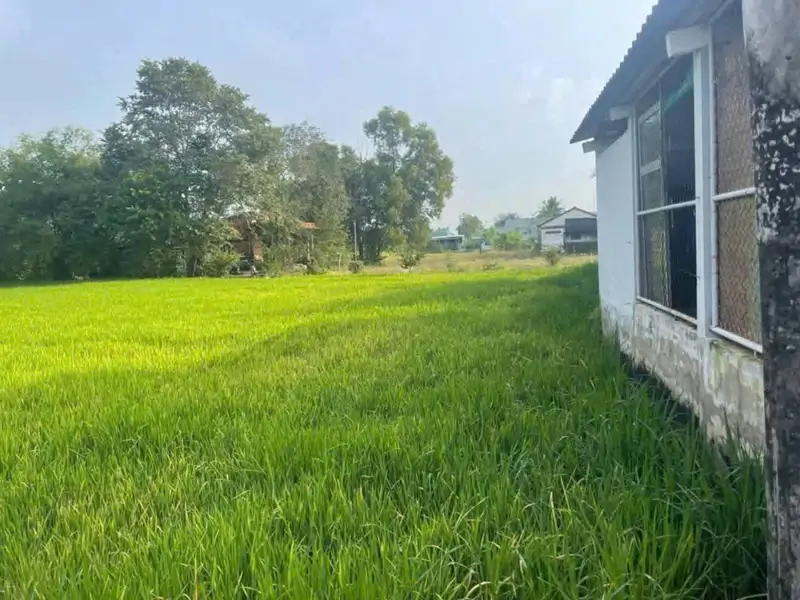 Tôi Chính Chủ Bán Đất Lô Đất Xã Cần Đước, Tỉnh Tây Ninh