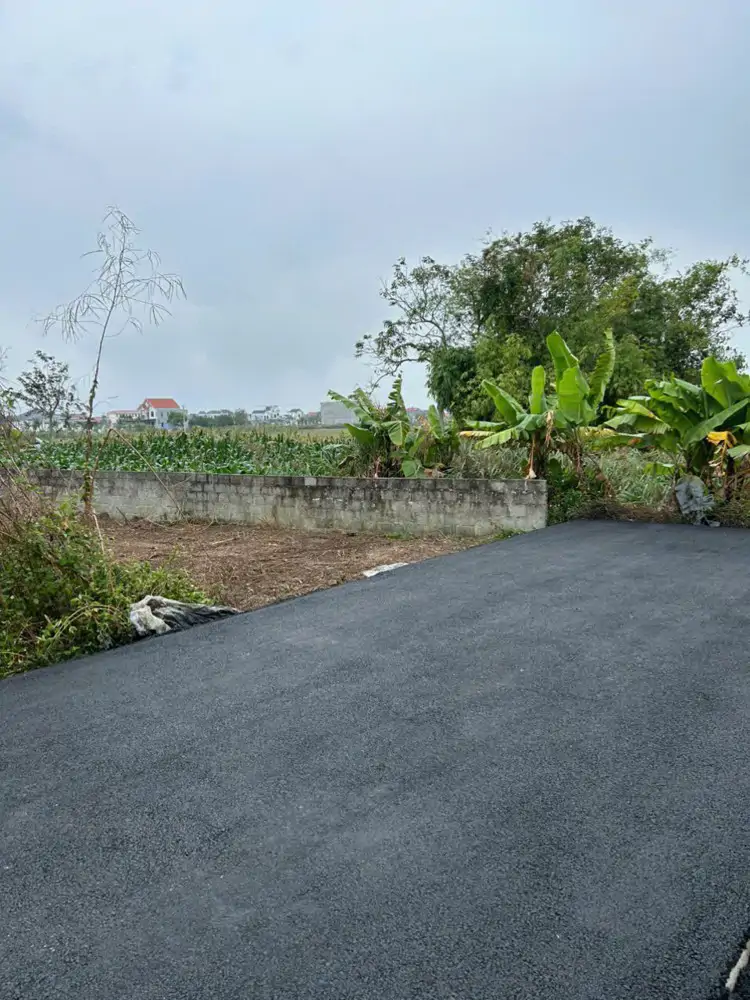 9Xx Triệu – Lô Đất Thù Du Minh Tân – Ngõ Nhựa 4M Áp Phan – Giá Hiếm Khu Vực  Zalo 0567 222 555 - ảnh 1