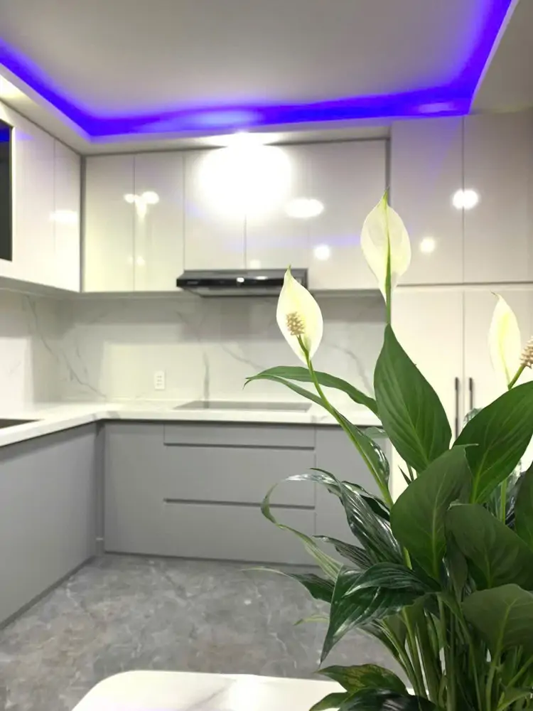 Nhà Gác Đúc – Kiệt 192 Tô Hiệu  Hòa Minh – Liên Chiểu - ảnh 1
