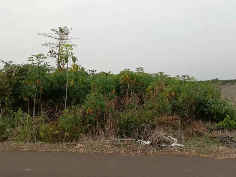 Cần Bán Lô Đất Chính Chủ. Thuộc Xã Đa Bạc. Đường Nhựa Sát Dân. Dt. 4Sao2 Giá 3T2 Hết Sổ