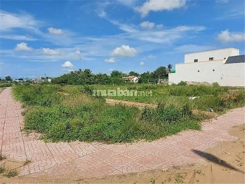 Đất Đẹp - Chính Chủ Cần Bán Tại Thị Trấn Cần Đước, Huyện Cần Đước, Long An
