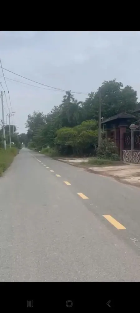 Đất Mặt Tiền Bến Súc – 2.000M² – 1.000M² Thổ Cư – Giá Quá Thơm