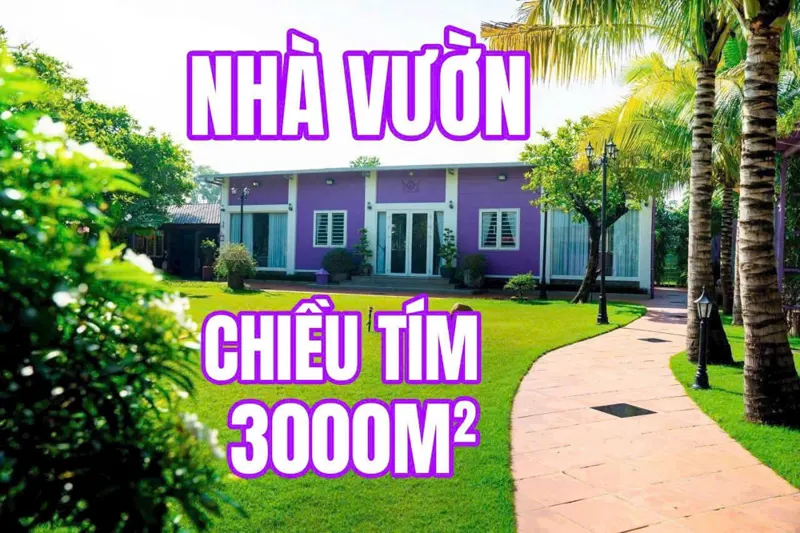 Nhà Vườn Màu Tím – Bình Mỹ, Củ Chi – Không Gian Sống Lý Tưởng