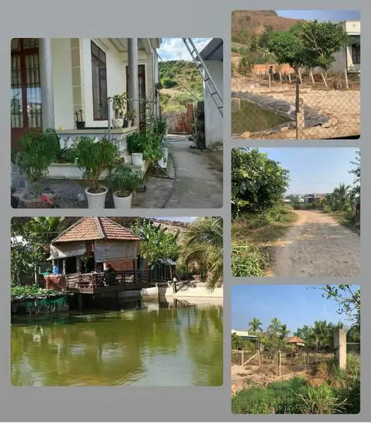 Bán Gấp Nhà Vườn Tân Văn Lâm Hà Lâm Đồng Hai Mặt Tiền Đường Otô Tránh Nhau