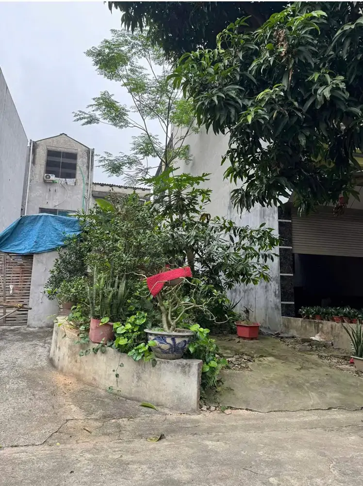 Chính Chủ Bán Đất Đẹp Khu Đồi Ông To – Phường Nông Trang, Tp. Việt Trì, Phú Thọ