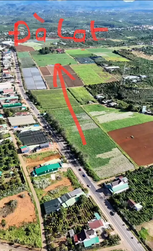 Đất Chính Chủ - Giá Tốt Tại Ql20 Xã Hòa Ninh, Huyện Di Linh, Tỉnh Lâm Đồng