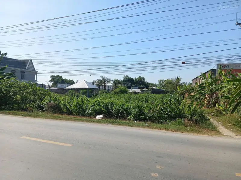 Bán Đất Tại Quốc Lộ 54, Xã Lai Vung (Xãtân Thành, Huyện Lai Vung) Giá Tốt Chỉ Với 4,1 Tỷ