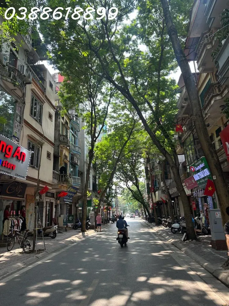 Mặt Phố Trần Quốc Hoàn - Đoạn Đẹp Nhất Phố - Kinh Doanh Sầm Uất - 2 Mặt Thoáng Trước Sau