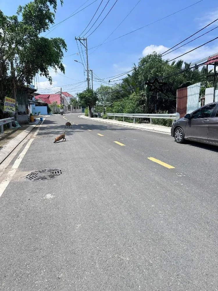 [Xn41 - Quỹ Đất Chiến Lược] Mặt Tiền Tỉnh Lộ 15 Củ Chi – 1.800M2 (25M X 72M)