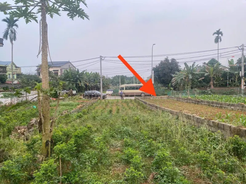 Anh Trai Em Làm Ăn Kinh Doanh Đầu Năm Thua Lỗ Nhờ Em Đăng Bán 100M2 Bám Trục Chính Đường Liên Xã