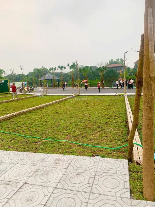Lãi Kép Tại Phú Cát Giá Trị Tăng Của Đất + Xây Nhà Cho Thuê Dòng Tiền 600/Năm Gần Đại Học Quốc Gia