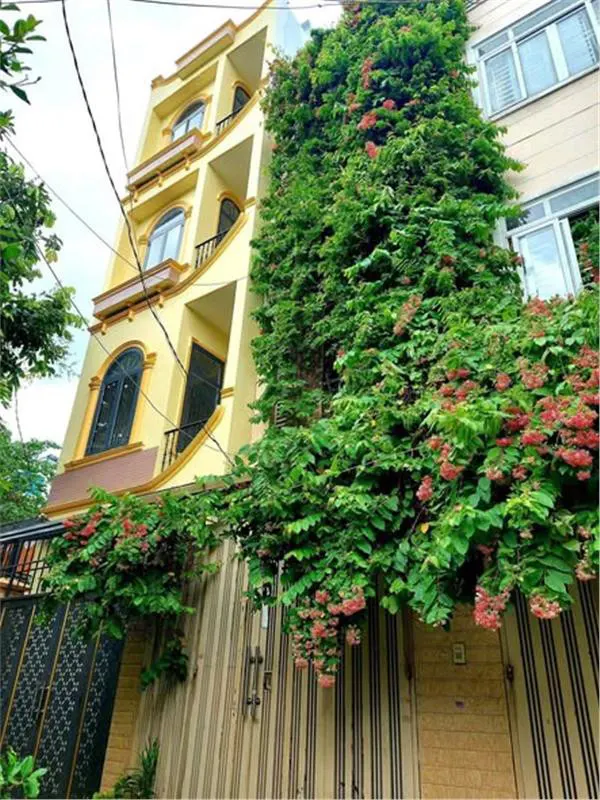 Nhà Đất Thánh Phường 6 Quận Tân Bình