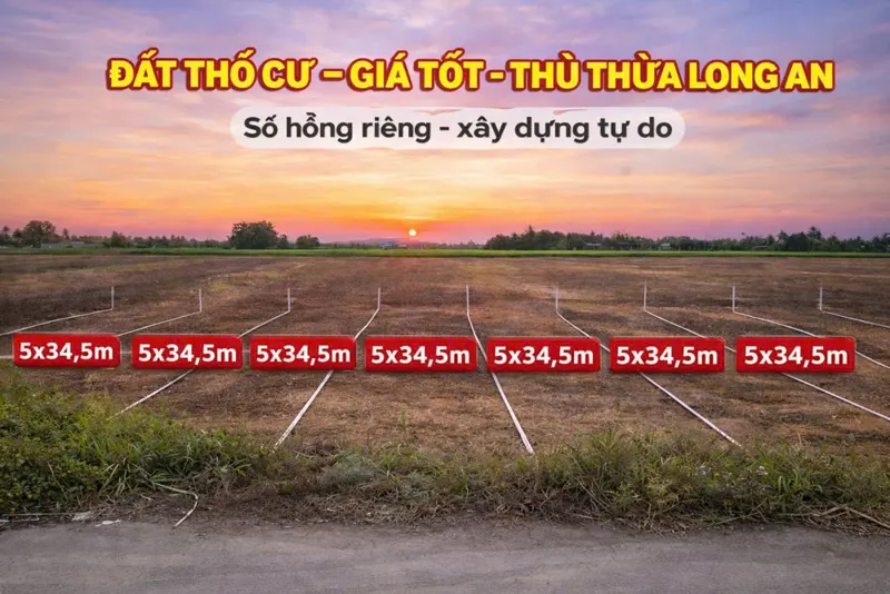 Mở Bán 9 Lô Mới Chính Chủ F0 Tại Thủ Thừa, Long An