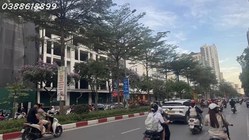 Bán Biệt Thự Đơn Lập Mặt Phố Trần Thái Tông - Cầu Giấy - 190M2 - Mặt Tiền 14M - 85,5 Tỷ