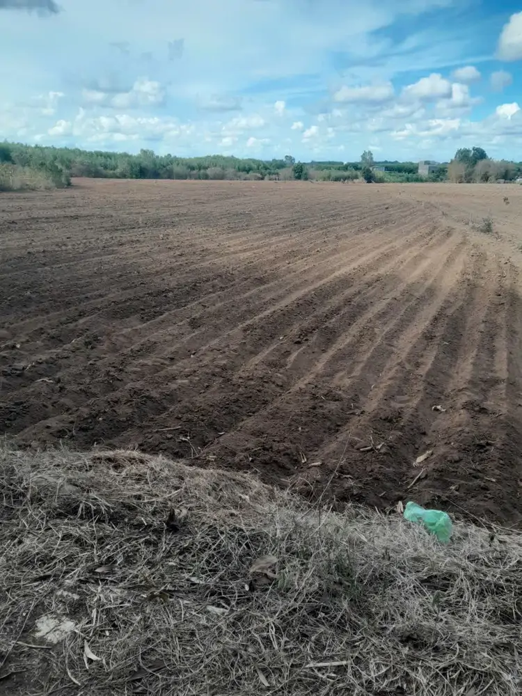 Hót Hót Đất Đẹp – Giá Siêu Hời Chính Chủ Cần Bán Đất Tại Xã Láng Dài, Huyện Đất Đỏ, Tỉnh Bà Rịa –