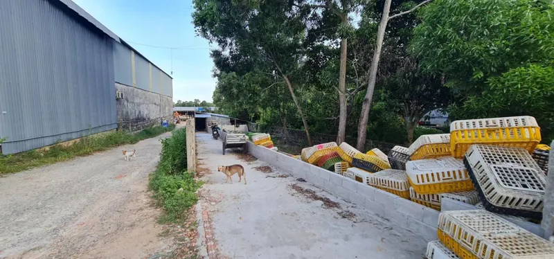 Chính Chủ Cần Bán 12.000M² Đất Tại Đặc Khu Phú Quốc – Đón Sóng Apec 2027
