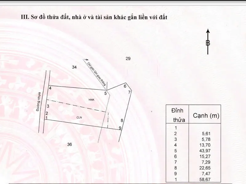 Lô Đất Có Tổng Diện Tích 1687M2, Vị Trí Cực Đẹp Cho Anh Chị Nào Muốn Đầu Tư Dài Hạn