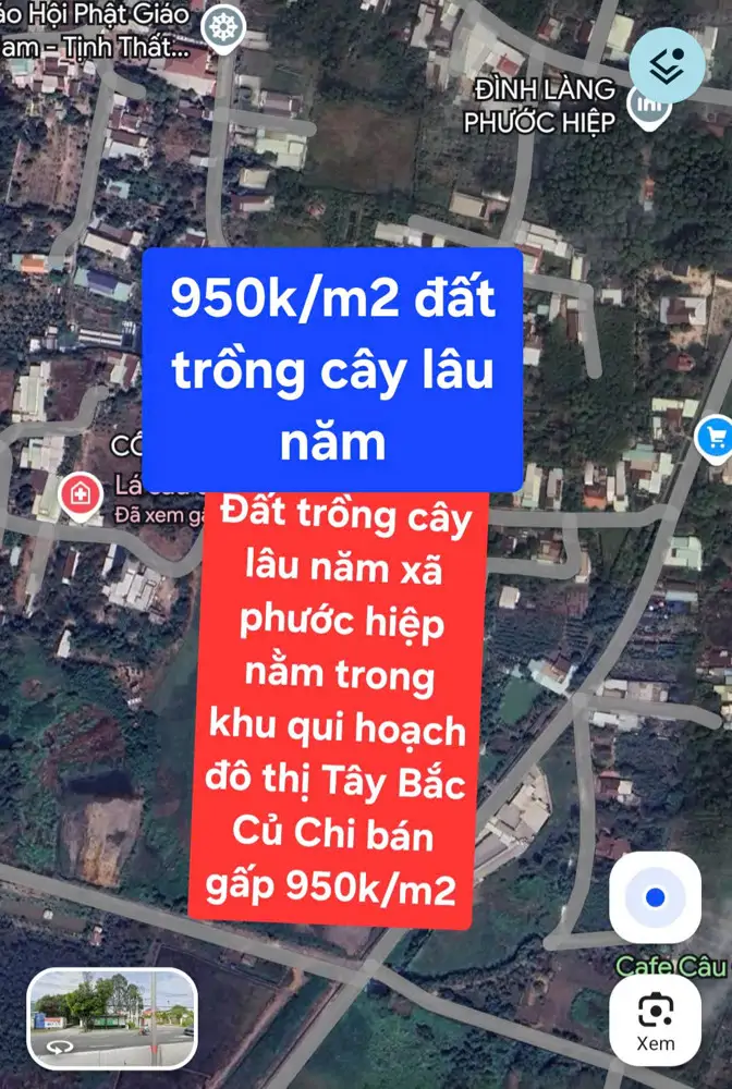 Bán Gấp 14.250M² Đất Trồng Cây Lâu Năm Tại Xã Phước Hiệp, Huyện Củ Chi, Tp Hồ Chí Minh - Chỉ
