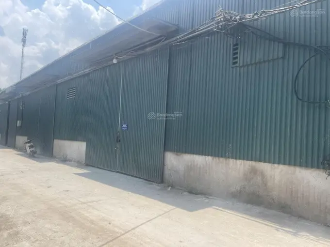 Cho Thuê Kho Xưởng - Diện Tích Lớn Tại Tam Hiệp - Thanh Trì - Giá Rẻ
