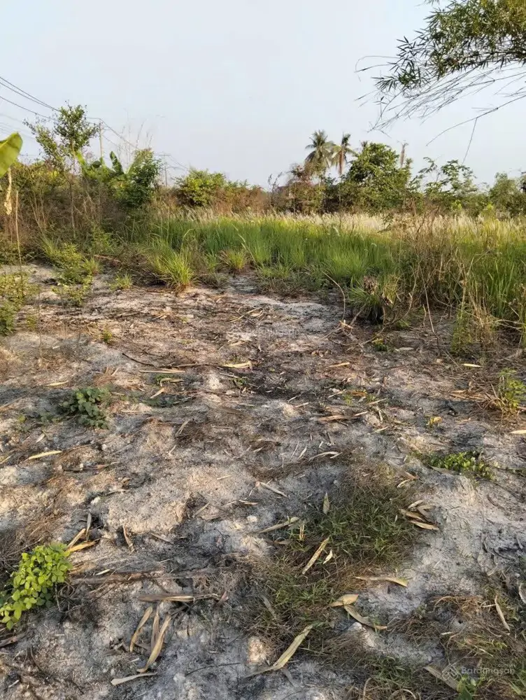 Chính Chủ Cần Bán Lô Đất Mặt Tiền Tại Xã Đôn Thuận, Huyện Trảng Bàng, Tây Ninh