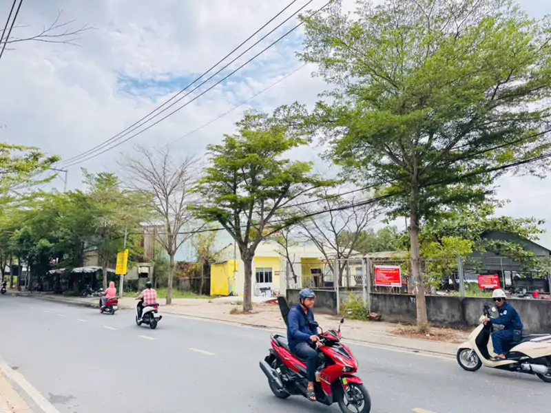 Chính Chủ Bán Gấp Đất Mặt Tiền Nguyễn Văn Tạo – Hiệp Phước, Nhà Bè 1.500M² Ngang 20M Nở Hậu